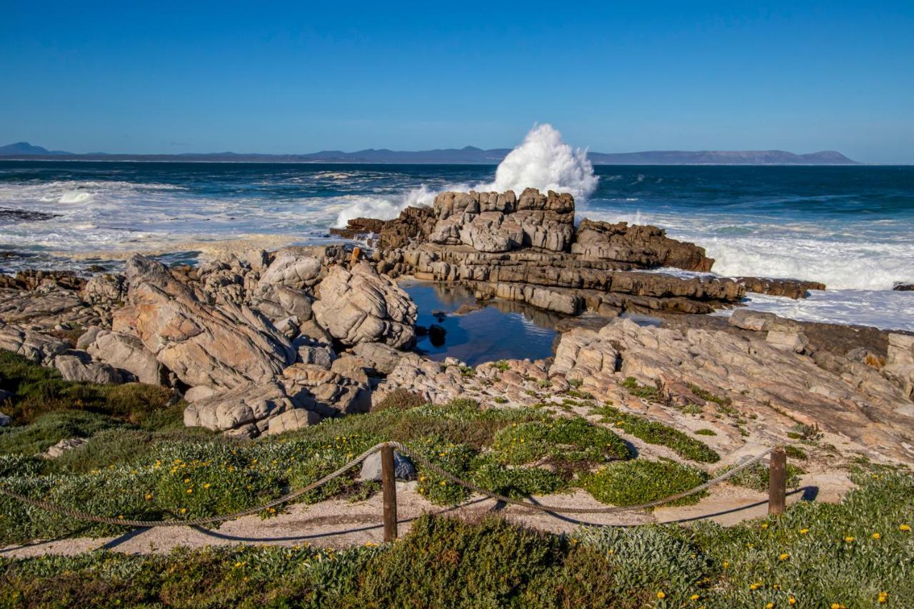 29@Whale Rock Estate Apartman Hermanus Kültér fotó